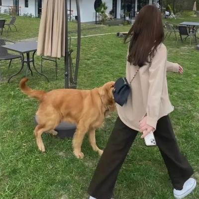 隐藏的梦想